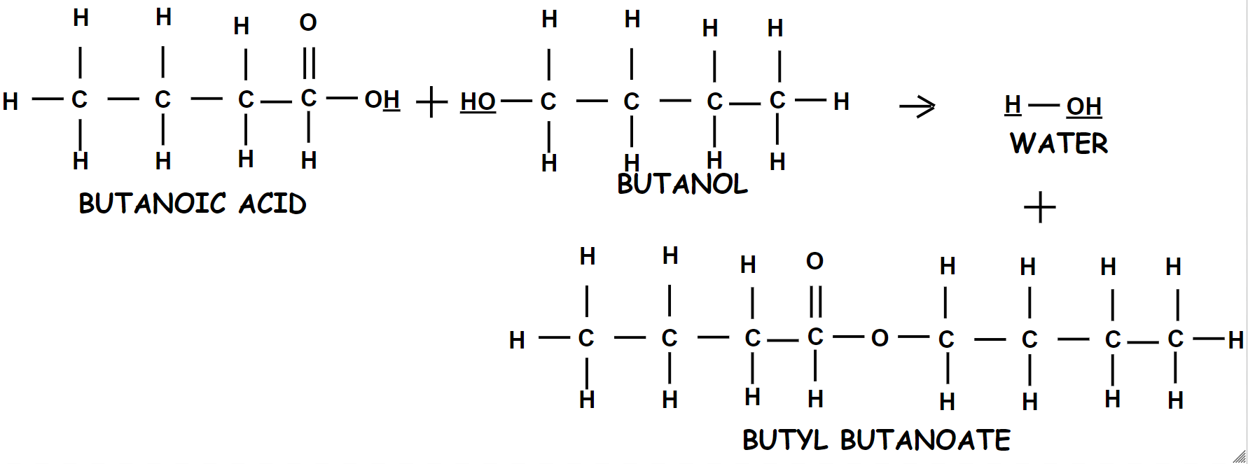 Butanoic Acid + Butanol --> Butyl Butanoate + Water