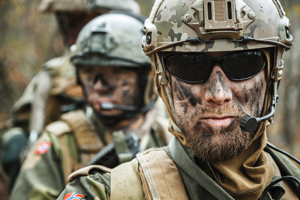 I Forsvaret
