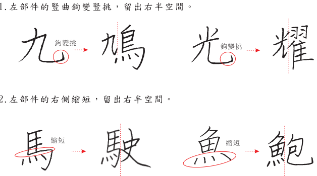 分支主題