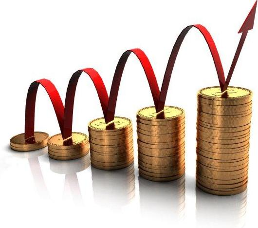 Surplus (no debts)