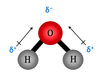 Polar Molecule: Unequal distribution of e-