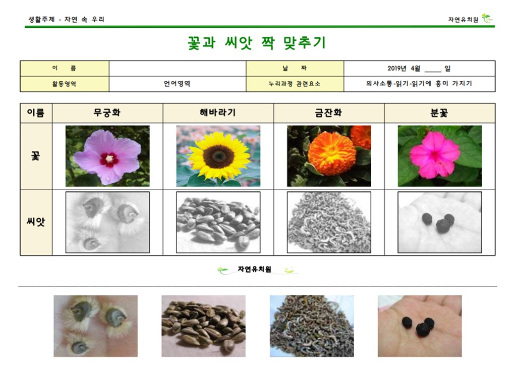 (자)언-꽃과 씨앗 짝 맞추기