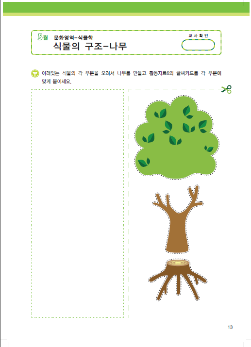 식물의 구조: 나무