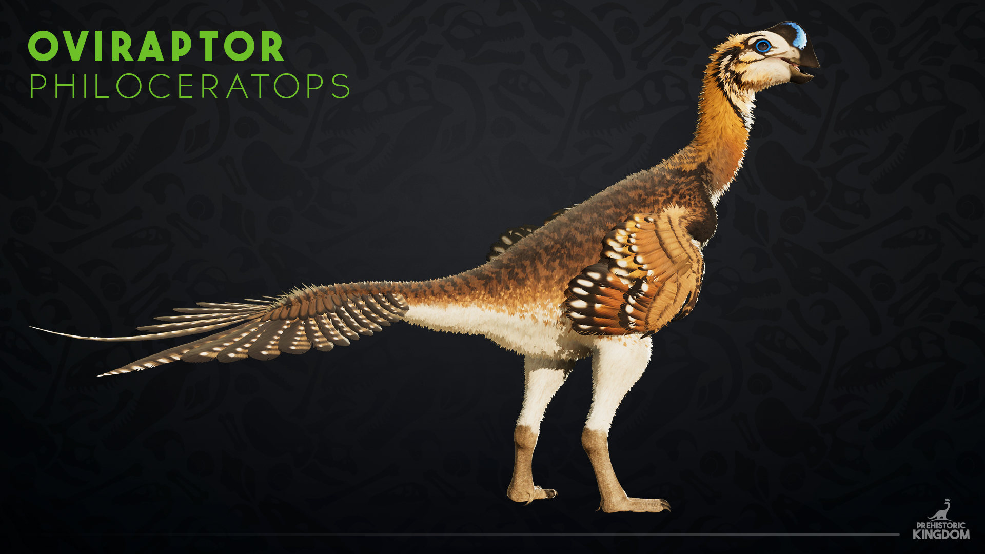 Oviraptor philoceratops