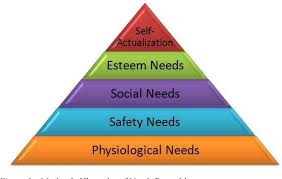 Understand student needs