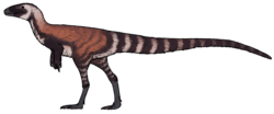 Huadanosaurus sinensis