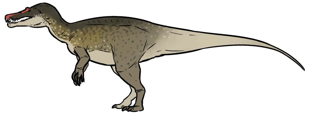 Iberospinus natarioi