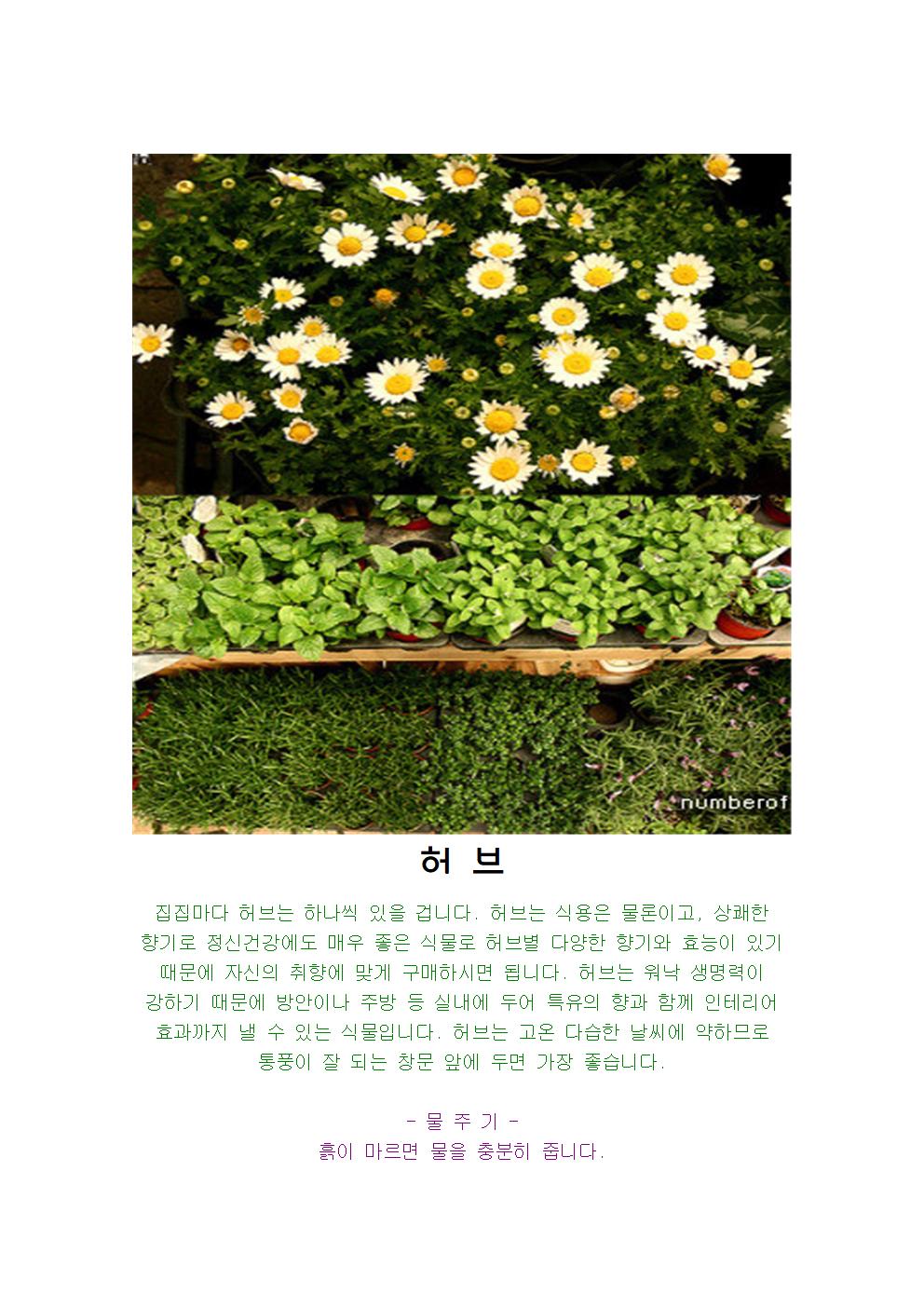 허브