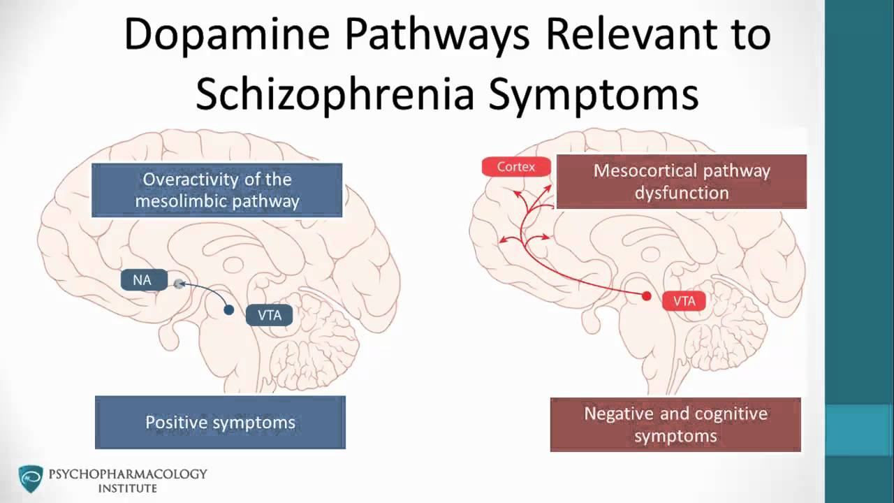 dopamine hypothesis