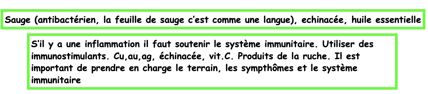 Les angines:
Infection aigüe des amygdales, uni ou bilatérale.
- Les angines érythémateuses ou érythémato-
pultacées
- La for
