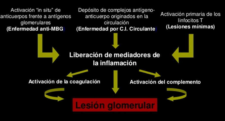 tipos