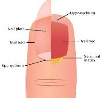 Nails