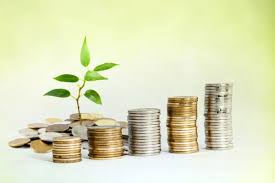 Money invested into the business to keep it operating.
