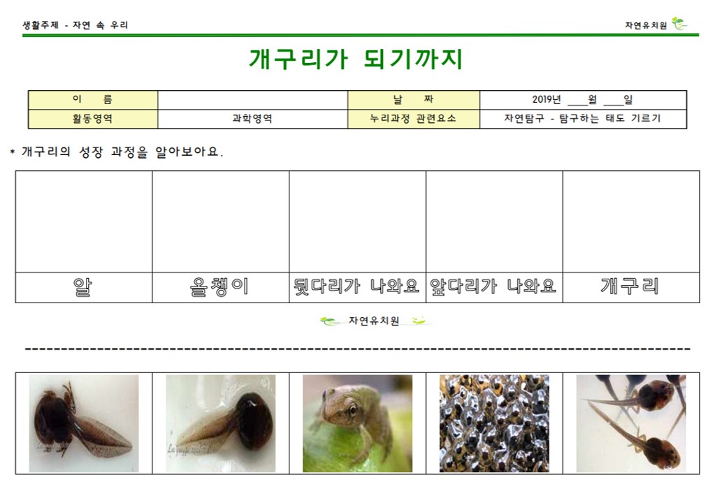 (자)과-개구리의 성장과정