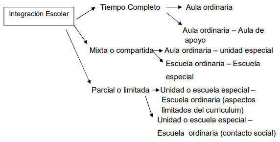 La Educación Especial en la Escuela Integrada - Ignasi Puigdellivol