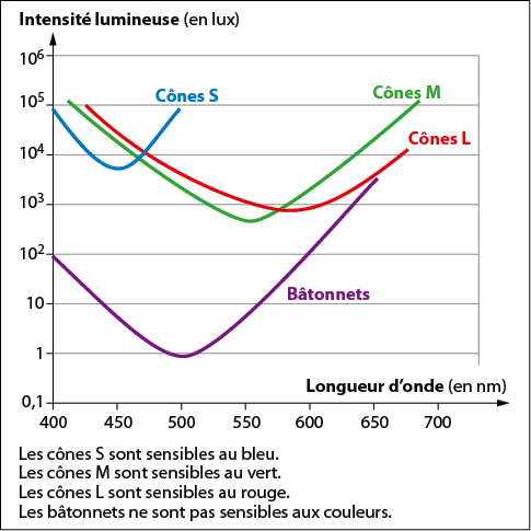 Courbes de 
sensibilité