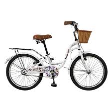 Promoción del uso de la 
bicicleta como trasporte