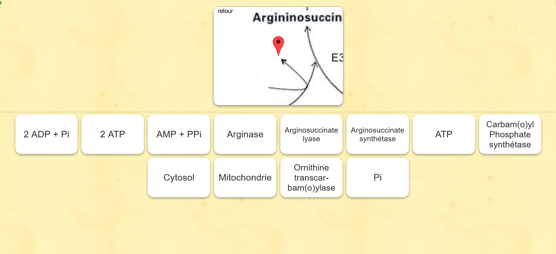 des propositions d'auto-evaluations (exercices sur learningapps)