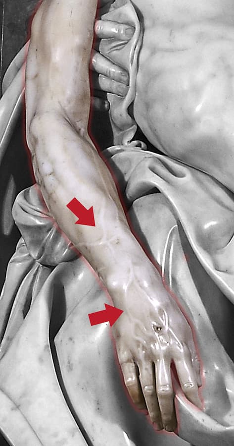 I muscoli, i tendini, le vene e tutto il resto del corpo è scolpito alla perfezione.