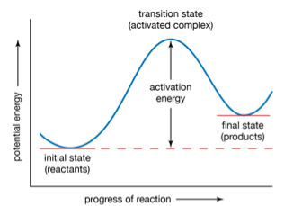 Always is higher in energy than products and reactants