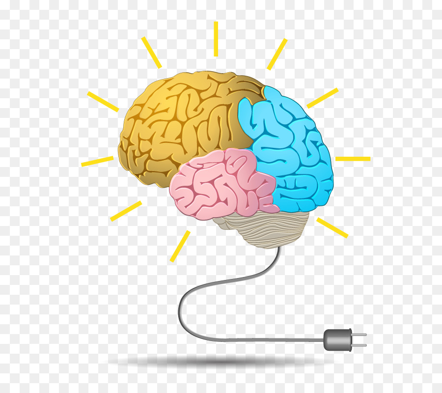 Inteligencia humana