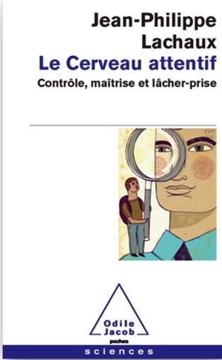 Le cerveau attentif