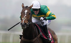 horseracing meetings