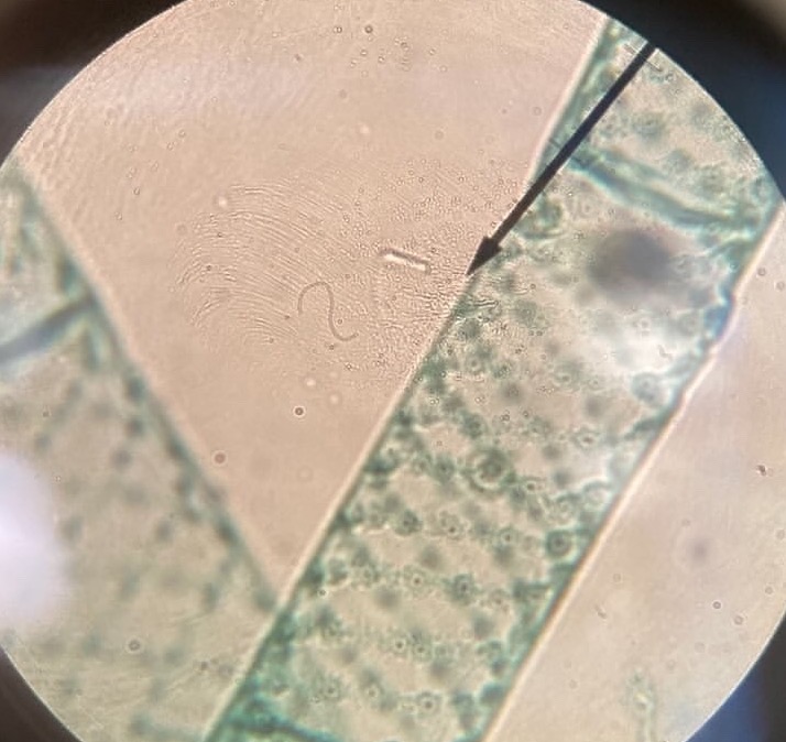 400x
