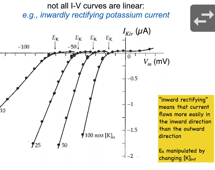 inwardly rectifying K+ potassium current
