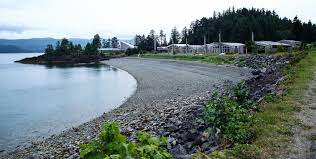 His mother's ancestral village, Tanu.