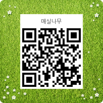 매실나무
