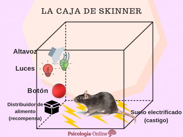 La caja de Skinner