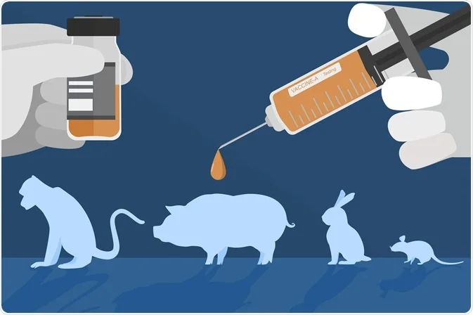 Medicinal Animal Testing
Animals, monkeys, dogs, rabbits, fish, and more, common cheap and often bred to provide scientists i