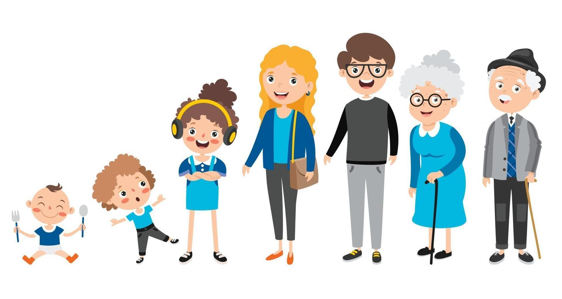 bebé, niño, joven, adulto, viejo, anciano.