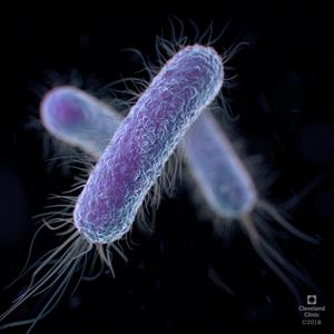 E.coli