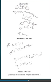 Evolución de las conceptualizaciones de la escritura.