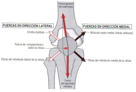 Estabilizadores de Rodilla