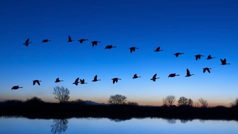 One thing is clear: transformational leadership will create more innovation than practicing reward and punishment styles (Web
