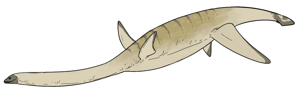 Kaiwhekea katiki