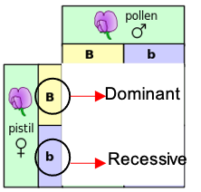 type