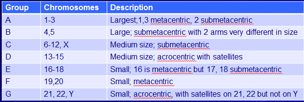 Chart of Chromosome Nomenclature