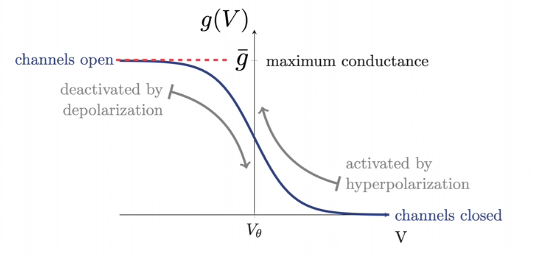 activation by hyperpolarization