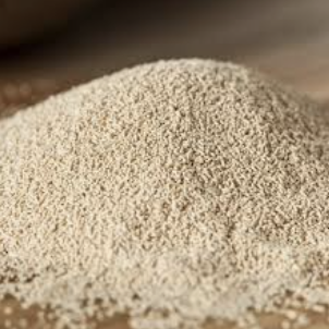 Ex. yeast