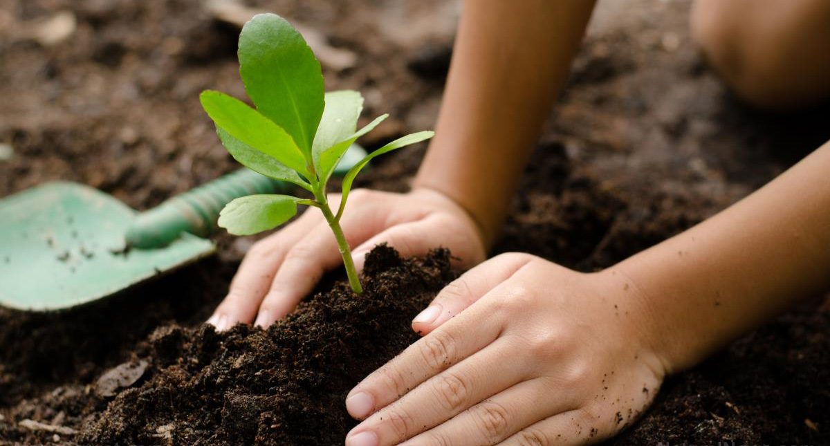Nature Smart - Naturalist Intelligence