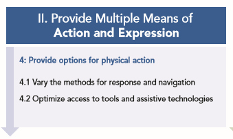 2. Provide multiple means of action and expression