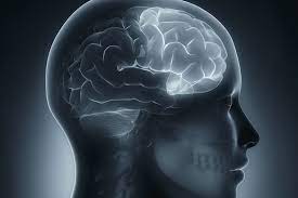 Hemisferio derecho (Novedad cognitiva) 
(Goldberg, 2004; en Lopera, 2008, p. 70)
