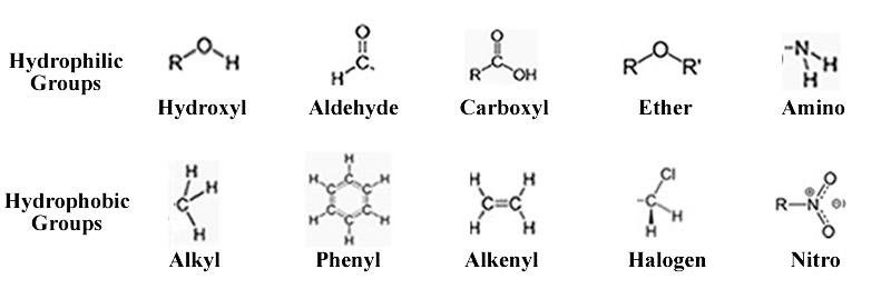 Allosteric binding
Groups