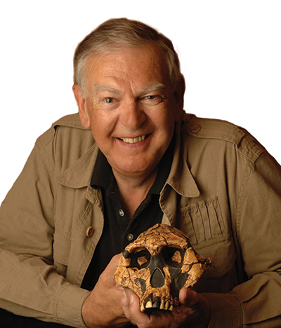 Lucy 
A famous hominin fossil discovered by Donald Johanson. Provided more insights into human evolution and bipedalism.