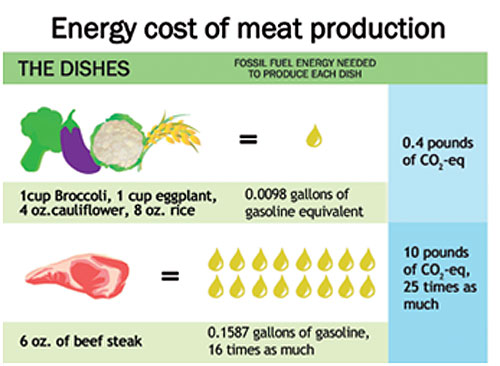 18% des émissions de gaz viens des productions de viandes et produits laitiers. Donc, assez d’acheter seulement des aliments 