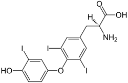 Triiodothyronine (T3) - three iodine atoms